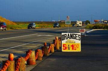 DSC_9974.jpg