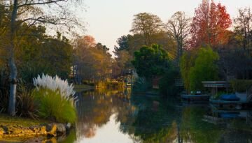 Estuary.jpg