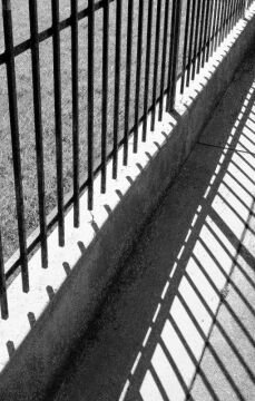 Fenceshade.jpg