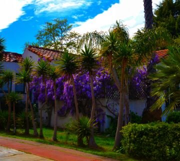 Flowerwall.jpg