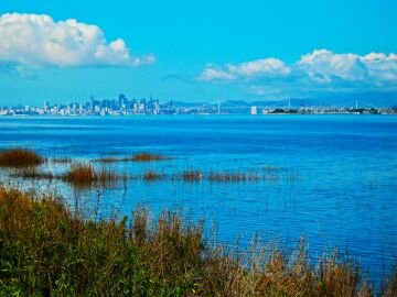 IMG_6337.jpg