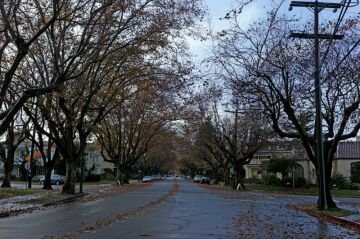 L1000164.jpg