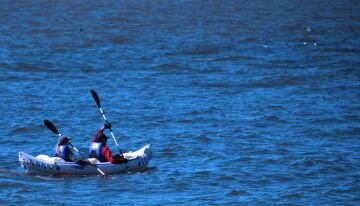 Paddle.jpg