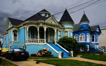 Paintedladies.jpg