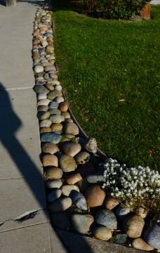 Rocks.jpg