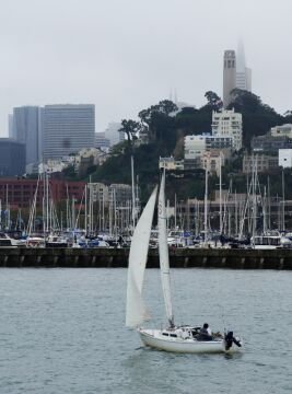 SFsailboat.jpg