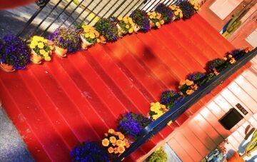 Stairs.jpg