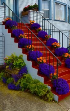 Stairswflowers2.jpg