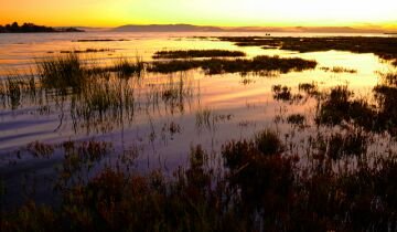 Sunset1.jpg
