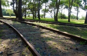 TRACKS.jpg