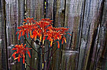 Untitled-6.jpg