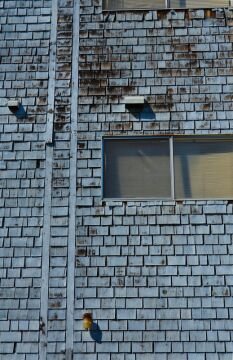 Wallroof.jpg