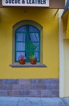 Windowflowers.jpg