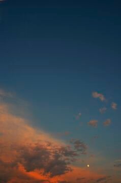 _DSC4677.jpg