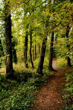 _DSC6803.jpg