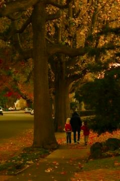 _DSC899b.jpg