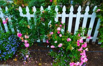 flowerfence.jpg