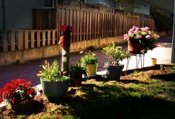 flowerpots.jpg