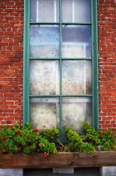flowerwindow.jpg