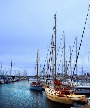 harbor.jpg
