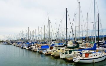harbor2.jpg