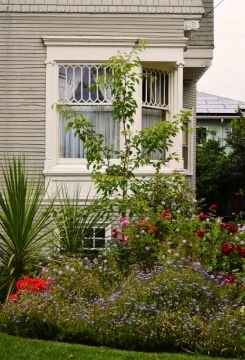 treeandwindow.jpg
