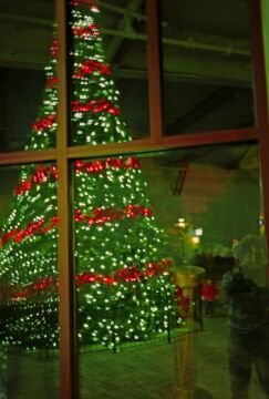xmastree.jpg